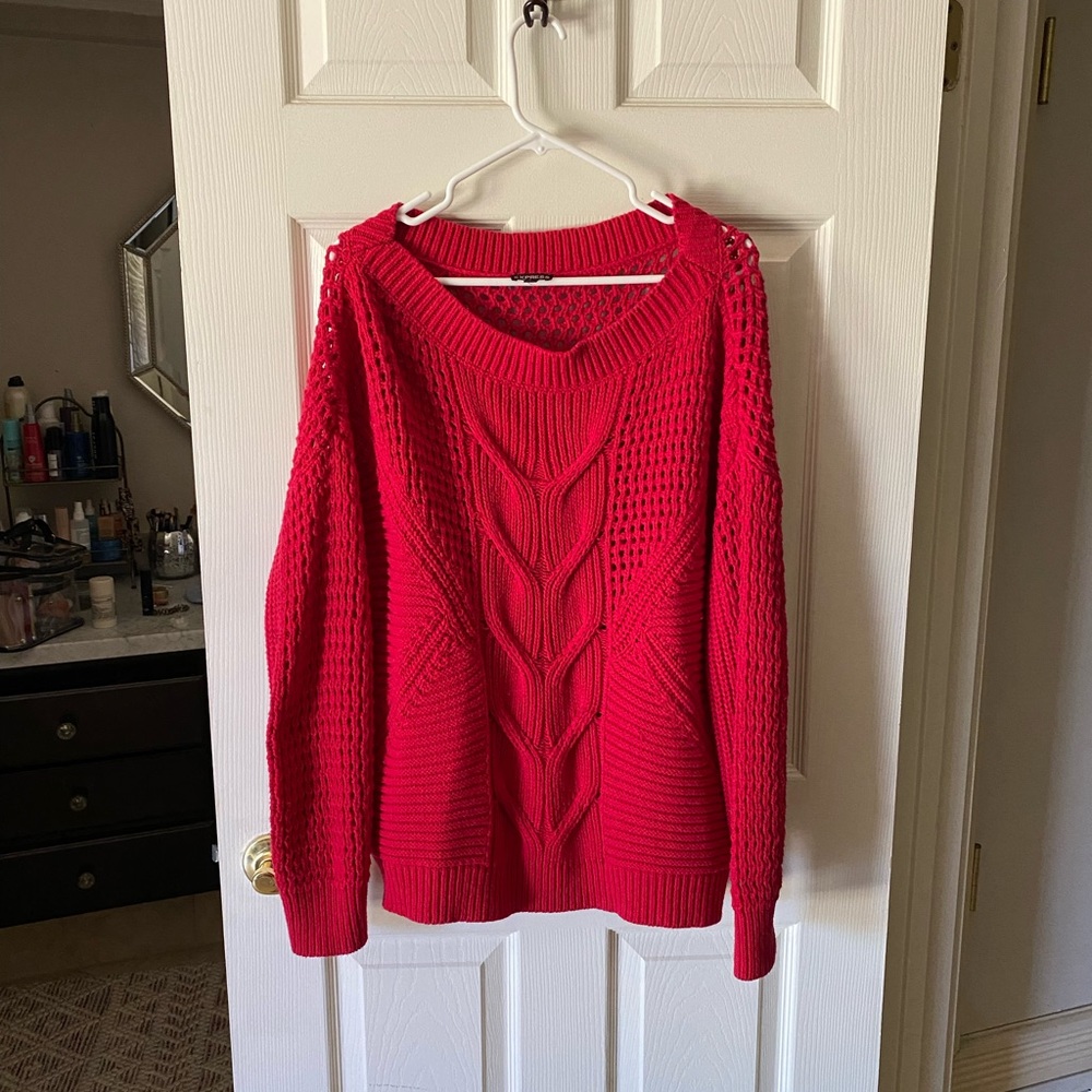 Express Knit Sweater